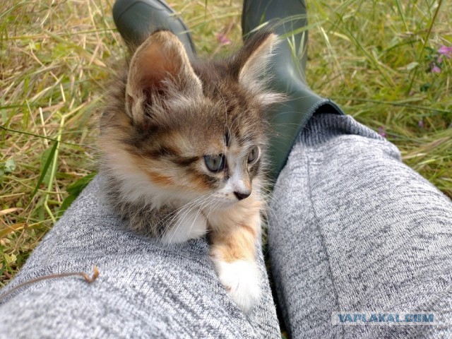 Любовные желания пьяных женщин