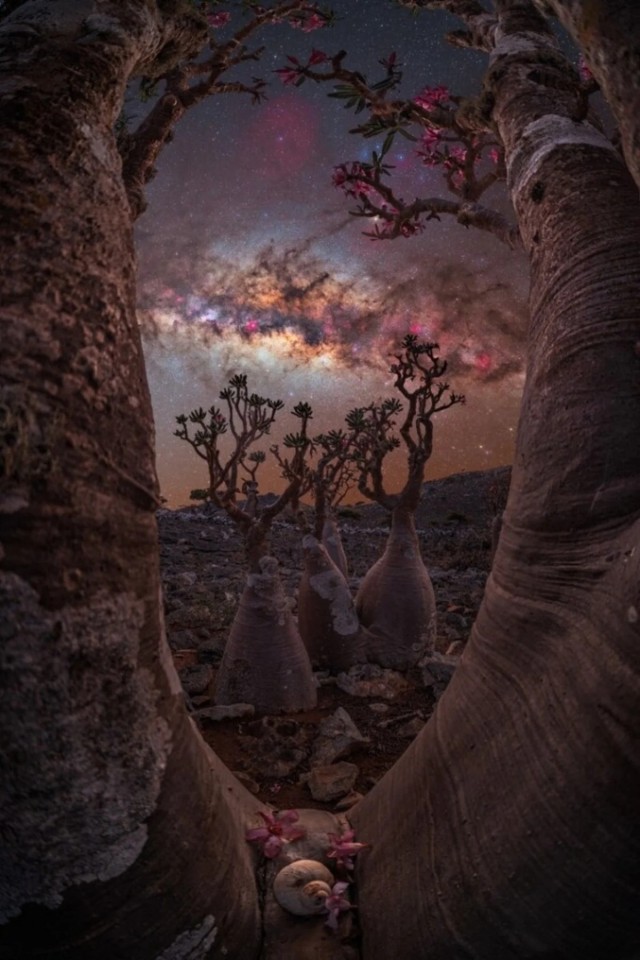 Невероятныетные фотографии Млечного Пути 2023 года