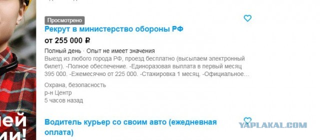 Призывной возраст срочной службы составит с 18 до 30 лет, поправка поддержана комитетом — Картаполов