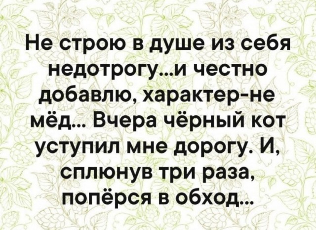 Почти 50 картинок