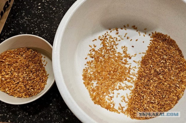 Плов с курицей