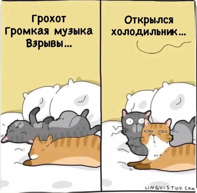 Завалялось тут случайно немного забавных картинок