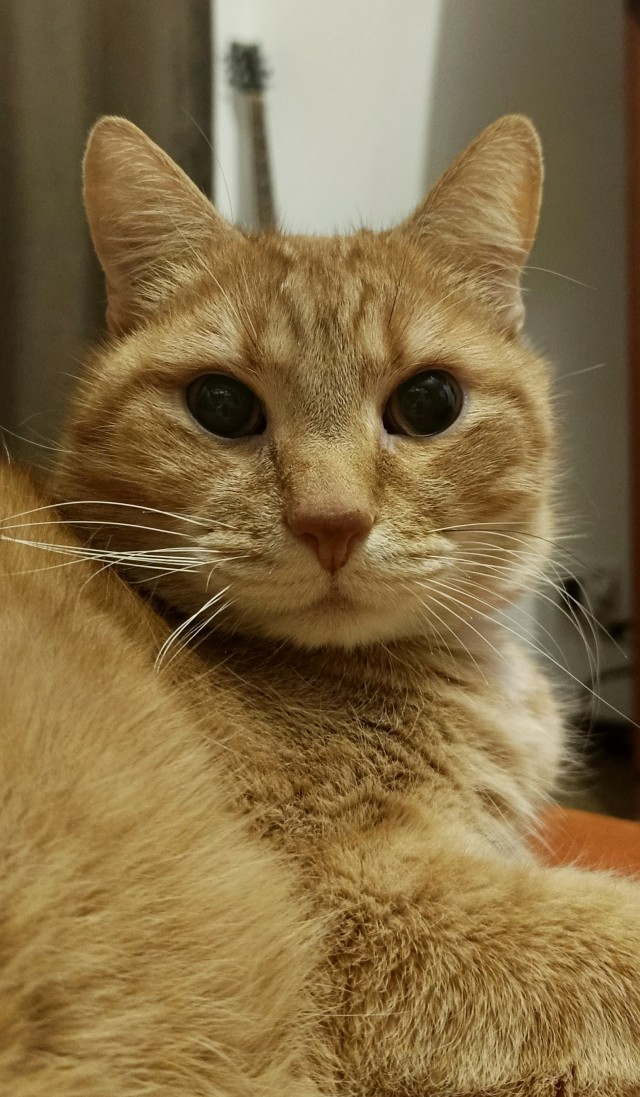 Блин. На меня пацан обиделся!