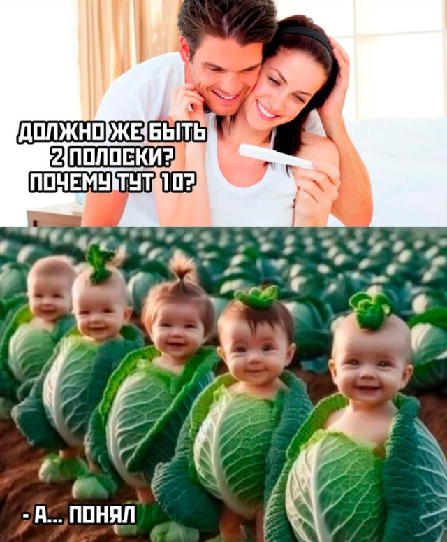 Весёлый полтишок 03.01.25