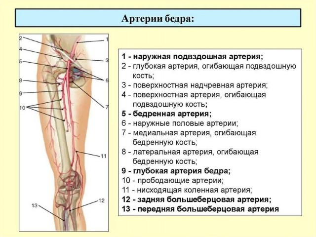 Покормили епт