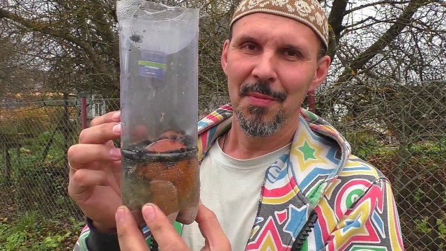 Жизнь домашнего приюта для котеек 536