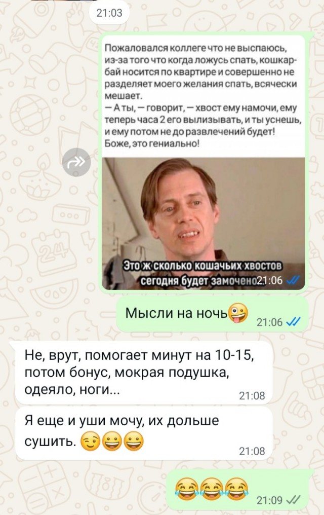 Так себе картинки 21.05.25