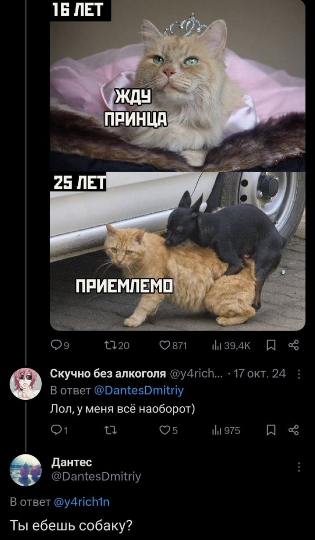Веселые картинки в пятницу (04.07)