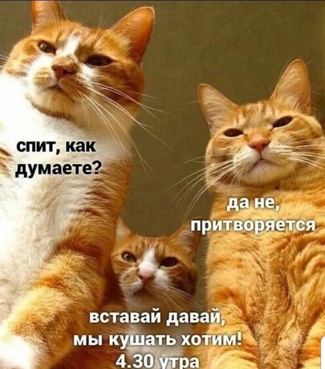 Так себе картинки 04.07.25