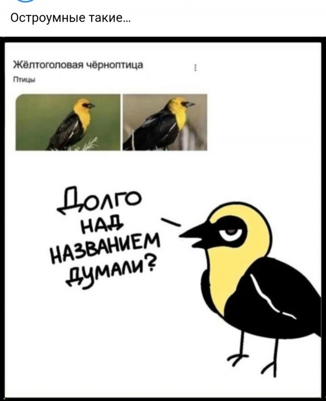 Ночная подборка ненормальных картинок !
