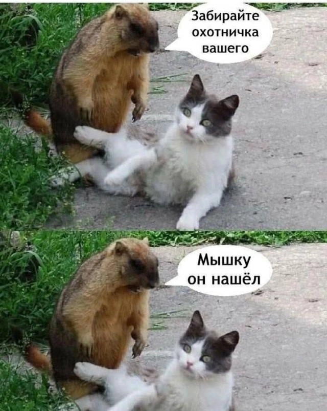 Так себе картинки 07.09.25