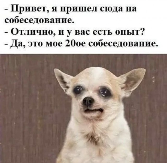 Картинки для деградации 41 (разной степени свежести)
