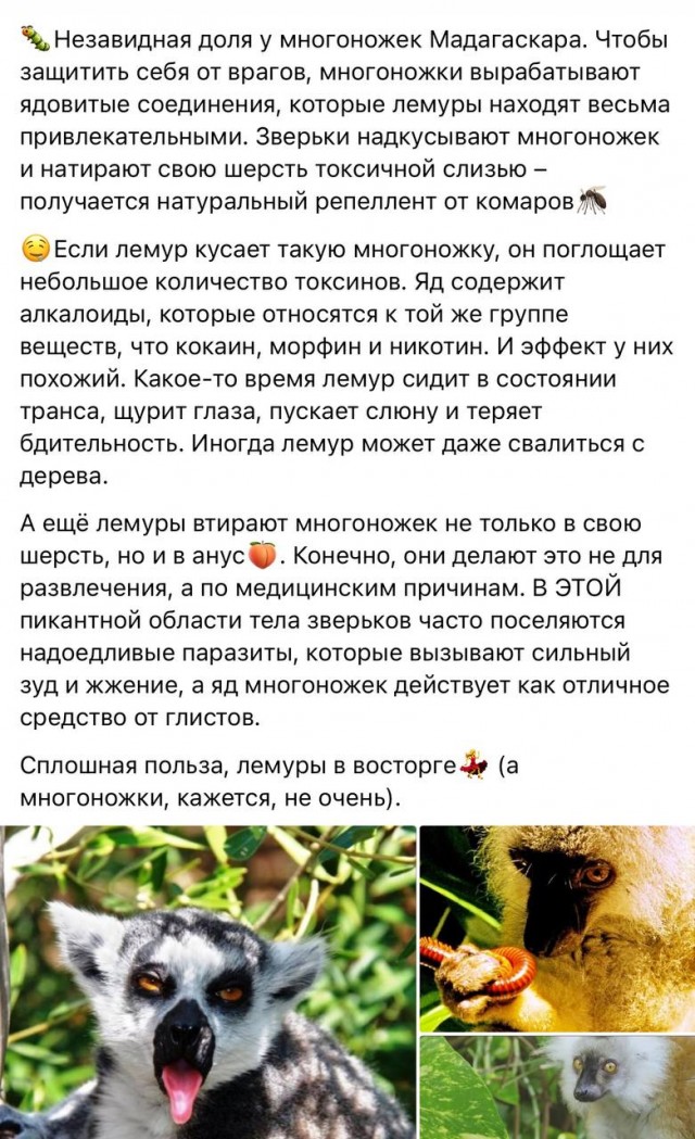 Немного картинок разной степени новизны и адекватности