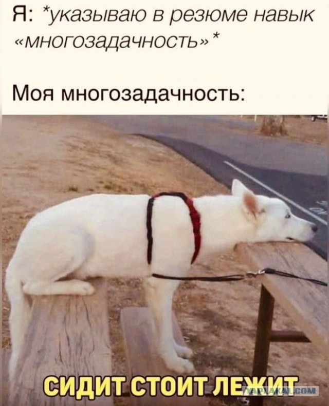 Разной свежести картинки