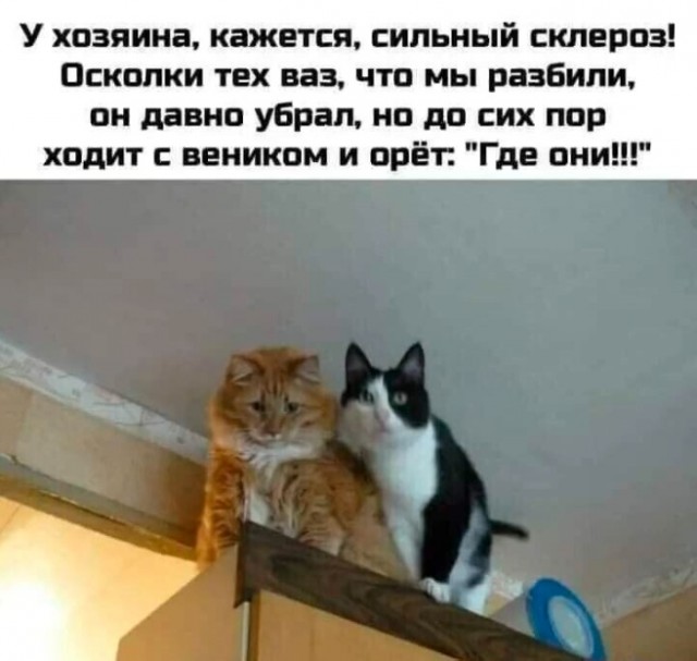 Картинки для деградации 99 (разной степени свежести)