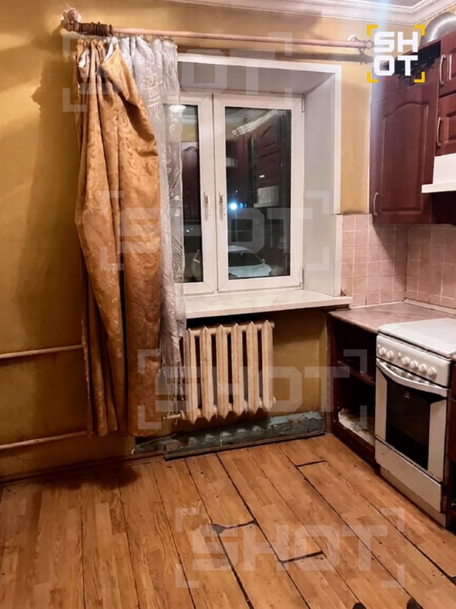 «Схема Долиной наоборот»: в Подмосковье бабушку выгнали из собственной квартиры на улицу вместе с кошкой и собакой.