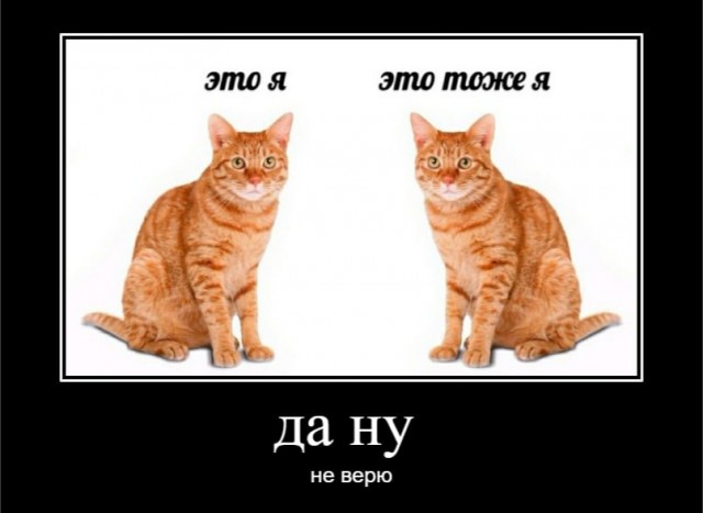 Дегрономикон 10