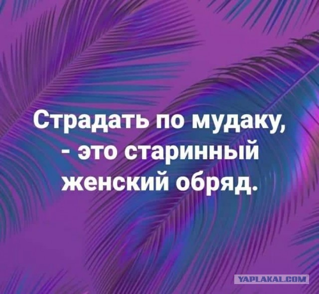 Теория современной любви