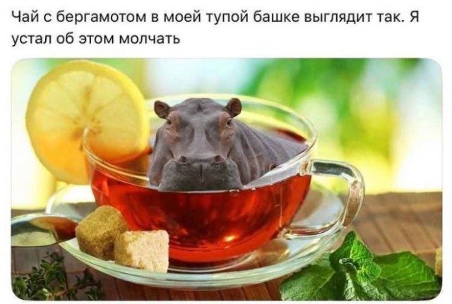 Субботние картинки
