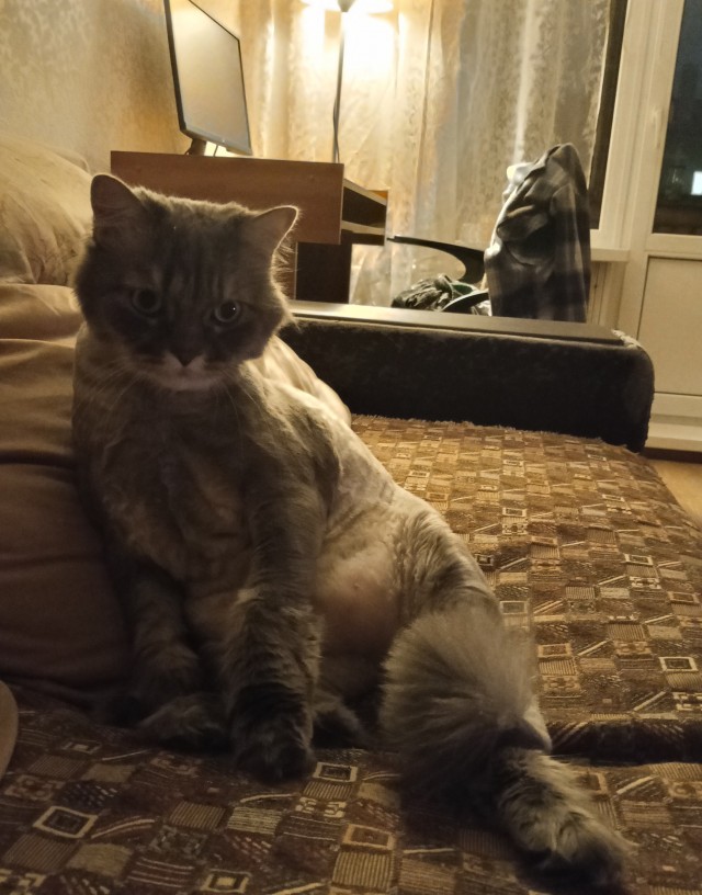 Принимайте в свои ряды которабы