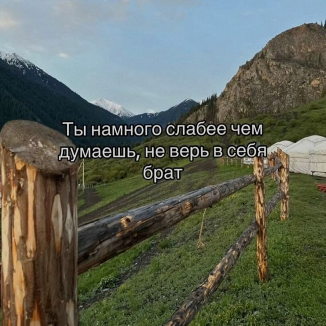 47 начальников внаглую маринуют шалык!