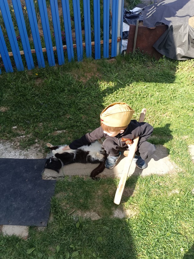 Вот вам коты и оружие