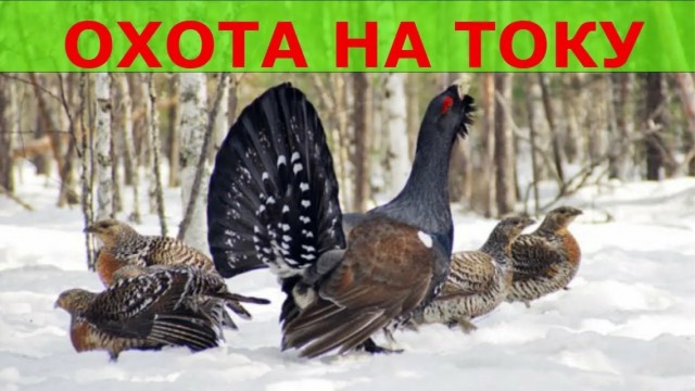 Знакомства в Петербурге вышли на новый уровень