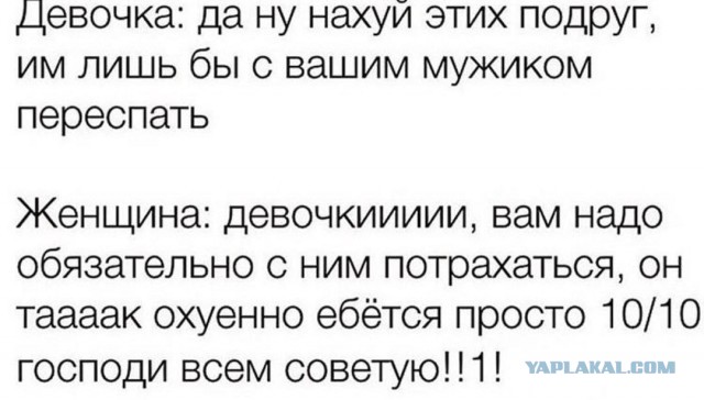 Веселые картинки в пятницу (03.07)