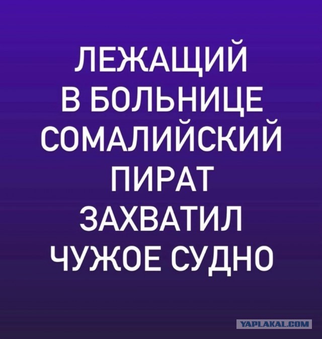 Веселые картинки в пятницу (21.08)