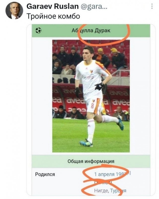 Картинке