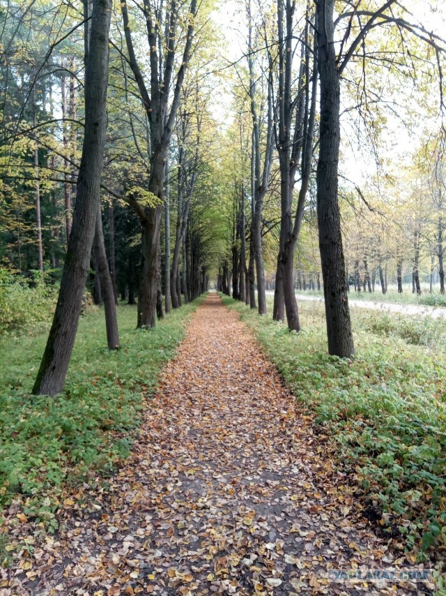 Все краски осени