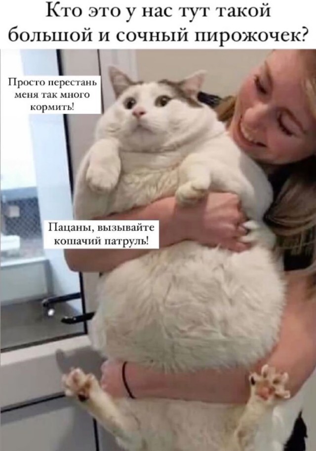 Веселые картинки в пятницу (23.10)