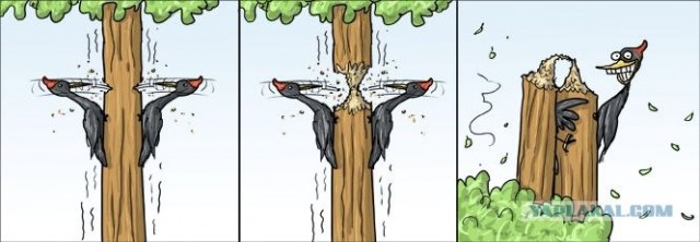 Испортил аппетит