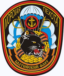 Грозный, 1995. Рассказ морпеха