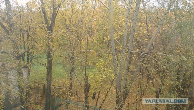 А что у Вас сейчас?