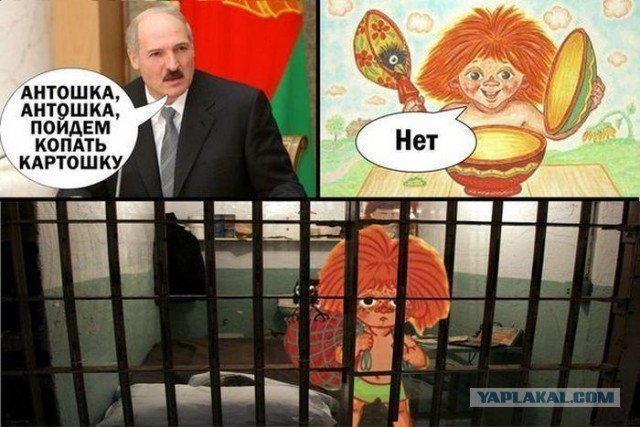 Смешные картинки