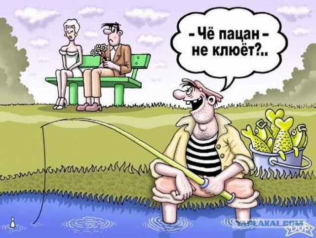Весёлое из сети