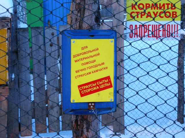 Четыре дня на Камчатке
