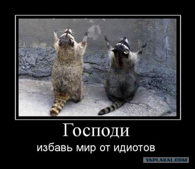 Ското-фото