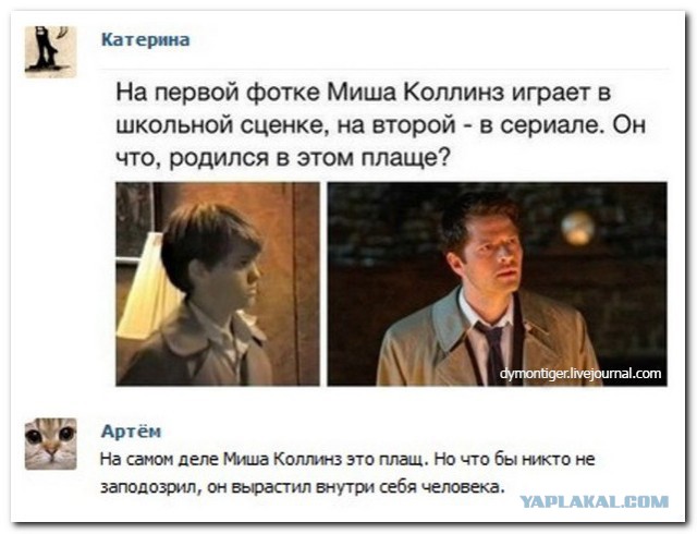 Смешные комментарии из социальных сетей