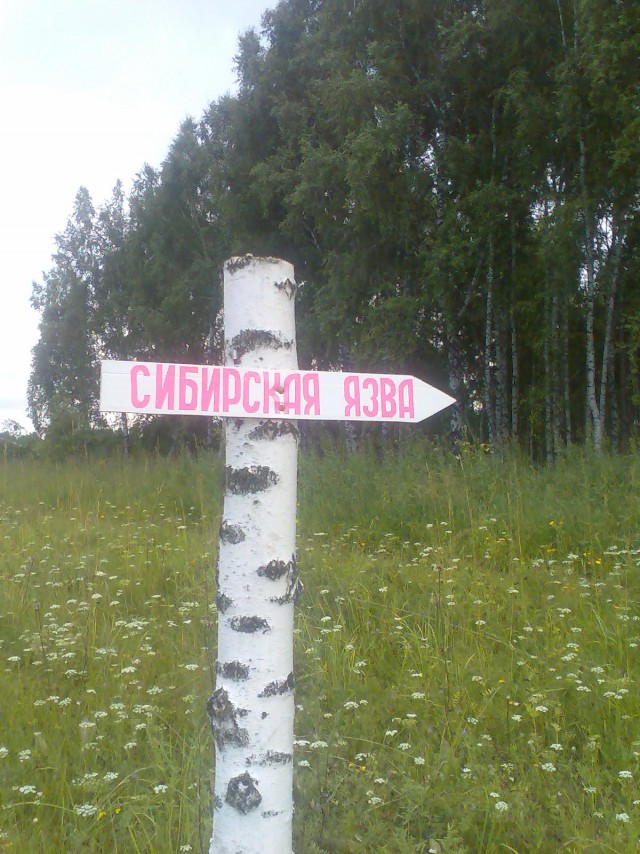 "Аральск-7":странная жизнь после смерти...