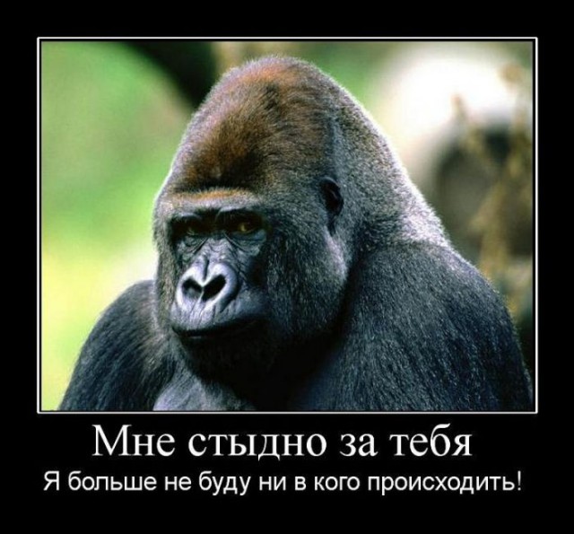 Короче мы вьебались