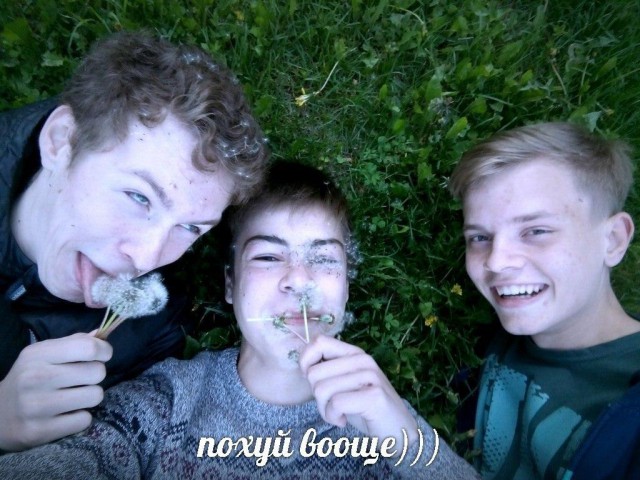 Ужасы и приколы из соцсетей