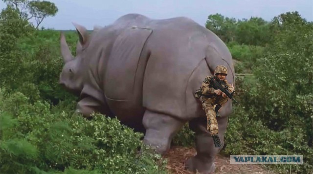 Фотожаба "Огненные Учения" Пожабим?