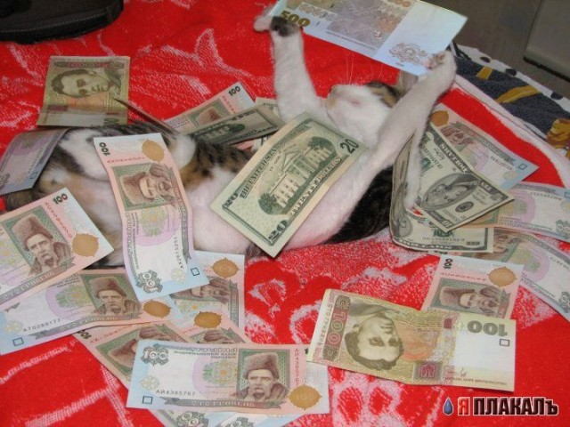 ДЕНЬГИ. Всё о баблосе: купюры, монеты