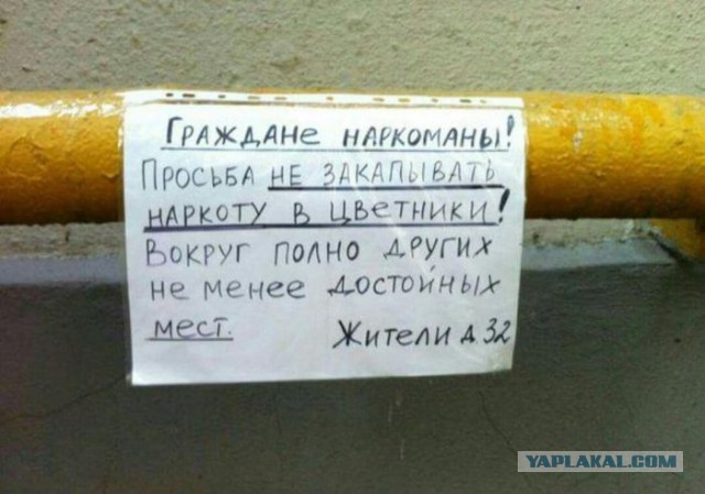 Забавные объявления