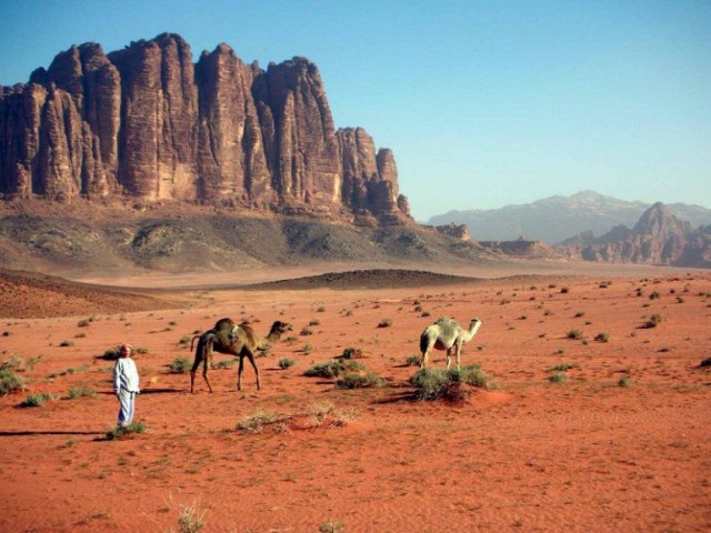 Моменты, запечатлённые на фото и просто позитив 5