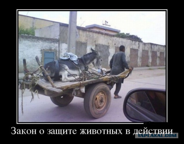 Картинки в черных рамках с подписями