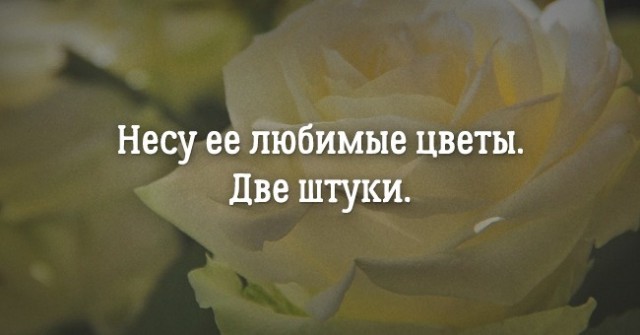 Рассказы в 6 слов, в которых заключена история длиною в жизнь