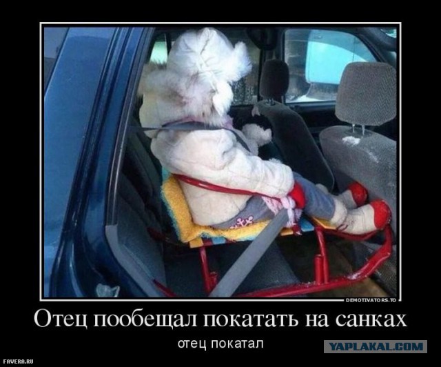 Как родителей кинули на миллионы рублей в пользу гаишников